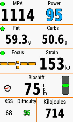 Xert Garmin Fields Fat Carbs Focus Strain BioShift XSS Difficulty KiloJoules