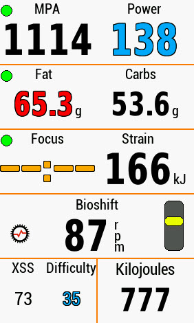 Xert Garmin Fields Fat Carbs Focus Strain BioShift XSS Difficulty KiloJoules