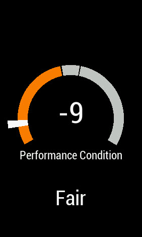 Negative Garmin Performance Condition Value shows Sleep and Intervals