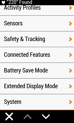 Garmin 1030 System Page