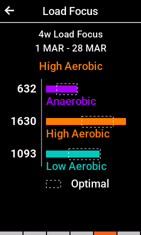 Garmin 1040 Load Focus 28-day Summary