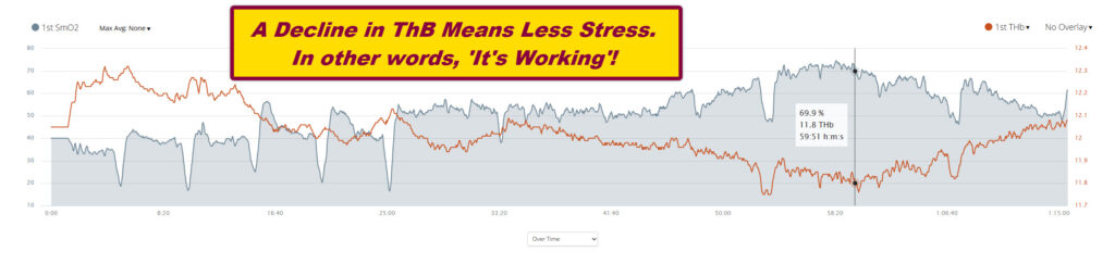 SmO2 and Base Richard Wharton Online Bike Coach Garmin Connect ThB Image 2