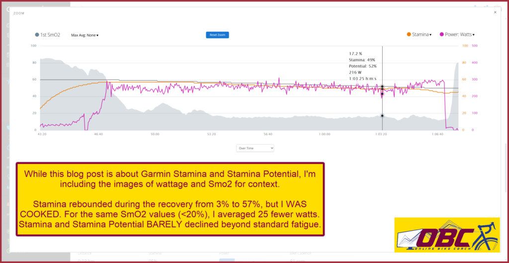 Second 20-minute Interval Garmin Stamina Stamina Potential