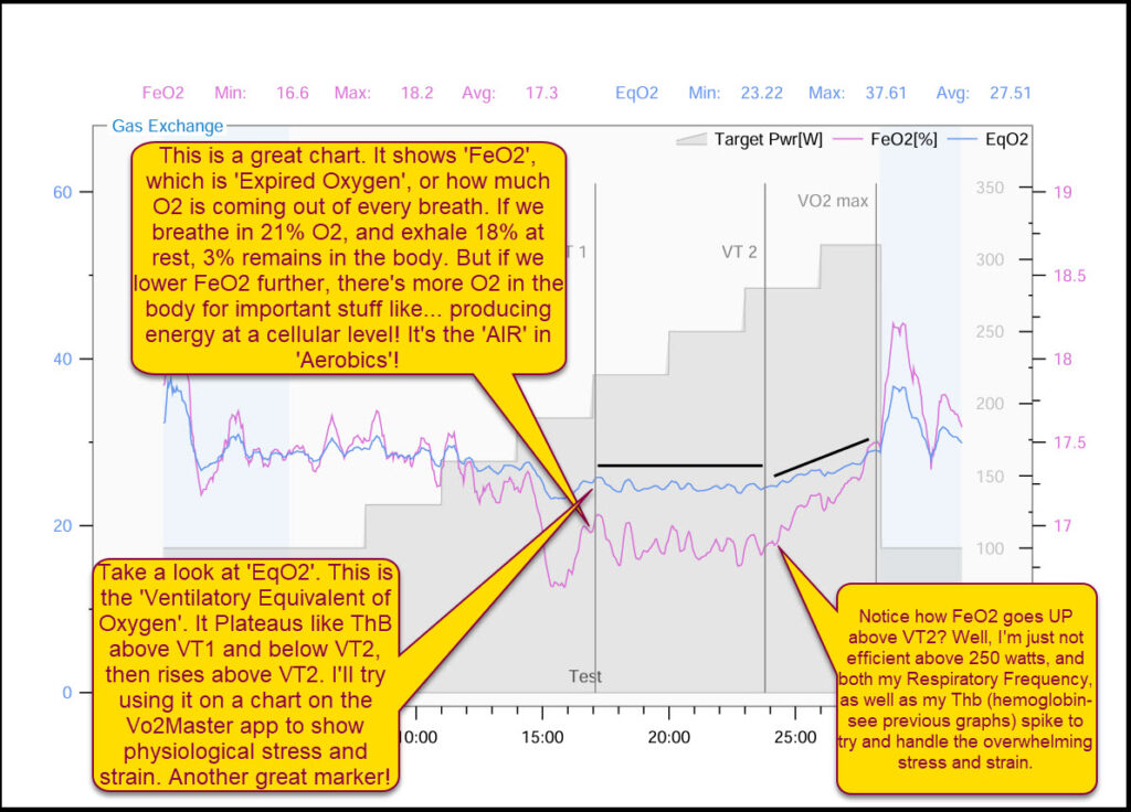 Vo2master Gas Exchange FeO2 and EqO2