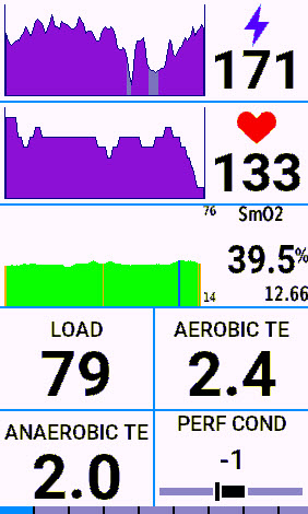 Complimentary physiological metrics to DFAA-1 show heart rate smo2 and garmin firstbeat values